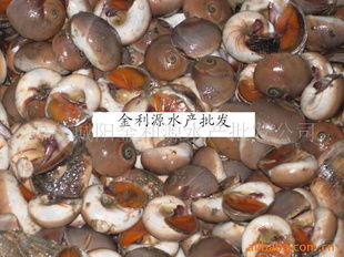 青島城陽金利源水產(chǎn)批發(fā)公司——水產(chǎn)品優(yōu)質(zhì)供應(yīng)與市場定位