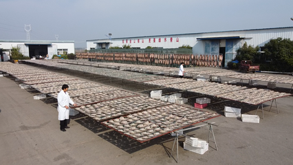 大冶 做足漁業文章，盤活水產經濟，打造特色農產品新名片